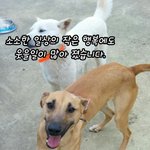 [<b>동행</b>세상] 이제 매화만 남았습니다.