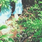 [EXO] 유리<b>어항</b>, 백색소음 내 궁예