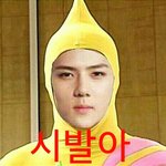 [EXO] ㅅㅂ 알계 파러간다 더 이상은 안당해