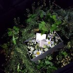 [EXO] <b>셉</b> <b>무대</b> 기다리기 지친다