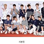 [세븐틴] 애들 많고 많지만