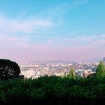 영화 <b>곡성</b>이랑 주토피아 중에 뭐볼까