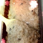 아시방초코칩<b>쿠키</b>랑우유섞어먹으려했는데너무오래놔둬서이렇게됨존나토맛남