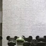 [방탄소년단] 그와중에 개구리 <b>시강</b>ㅋㅋㅋㅋㅋㅋㅋㅋㅋ