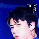 [EXO] 입쯀 오동통 <b>젤리</b>