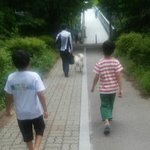 [EXO] ㅆㅂ 초딩<b>새끼들</b> 강아지한테 돌 덜짐