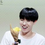 [방탄소년단] 후라<b>지아</b>