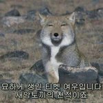 진짜 <b>대입</b>을 모르는거는