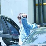 [세븐틴] ㅅㄷ)입duck..