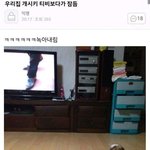 [EXO] ㅈㄴ웃긴 <b>일화</b> 가져옴