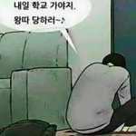 [댓글부탁해] 너네 베이스제품 뭐써?