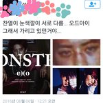 [EXO] 내생각에는 눈한쪽다른애가 <b>몬스터</b>가된거같음