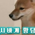 [EXO] 김민석 졸라 안보이네 <b>십알</b>