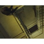 [EXO] 핵둥 ㅈㅅ