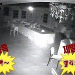 [EXO] ㅅㅂ 개소름 묻오랑 <b>평행</b>이론설