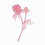 [러블리즈] 응원봉얘기가나와서그런데