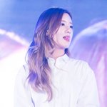 [에이핑크] 끵갤에서 주웠는데