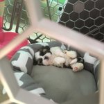 [<b>유키</b>이야기] [<b>유키</b>(유끼)네] 세번 째 이야기