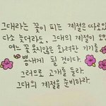 원피스추천좀...