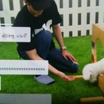 [EXO] 자꾸 첨보는 <b>물건</b>이랰ㅋㅋㅋㅋㅋㅋㅋ