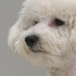 [EXO] 원래도 알고있었지만 방금 깨달았다