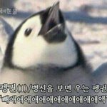 [댓글부탁해] 재수없는친구랑 사이안좋아짐 올ㅋ