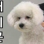 [EXO] 하..<b>세후</b>니 놀아주기 존1나 힘드네..