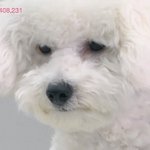 [EXO] 티켓팅 광탈ᆢ 쇼케 광탈ᆢ 사장이 포카ᆢ