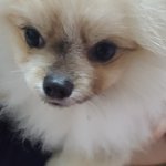 조언 부탁드립니다