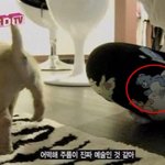 [EXO] 곰돌이는 <b>호텔</b>에 가야 남자가 되지