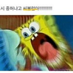 [방탄소년단] 흐헝헝 꽃놀1이패 뭣이중헌디!!!!!!