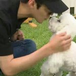 [세훈] <b>비비</b>아빠의 교육관ㅎ