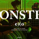 [EXO] 첸 이상한점