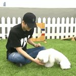 [세훈] 훈련은 오세후니가..비비는?ㅋ
