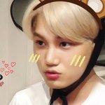 [카이] 곰인이의 고민쇼가 끝났습니다(감상문ㅂㅅㅂ