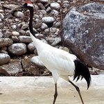 [EXO] 니네 냄1보1소 <b>웹툰봄</b>?