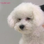 [EXO] 비비 수술했니? 한번을 안짖고 침묵ᆢ