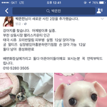 도와주세요  인천<b>부천시</b>흥분들 가족을 잃어버렸습니다