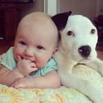 세상 가장 사랑스러운 <b>보모</b>