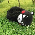 [<b>쿠마</b>몬] 어머어머