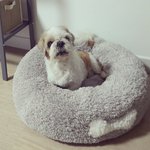 추가) 곧 헤어져야 하는 너를 기억하기 위해.