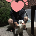 (추가) <b>산</b>에서 강아지 데려온 사람입니다
