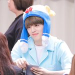 [세븐틴] 캐럿들 잠시 마음의 <b>안정</b>을..