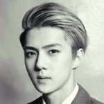 [EXO] <b>오센</b>은 팬드리나 부르는거지