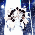 [세븐틴] 우리 예쁜거 보자