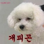 [EXO] 비비가 <b>한몫</b>했지