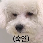 [EXO] 세훈이 방송은 <b>ebs</b> 사람과 개가 만나다