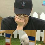[EXO] 비비가 말잘들었으면 그냥 귀엽다고 앓다가 끝났을텐뎈ㅋㅋ