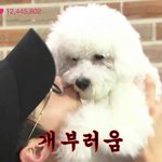 [EXO] 오늘 처음으로 엑소가