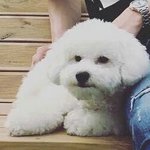 [EXO] 이렇게 볼땐 <b>평범</b>한데